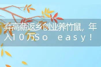 弃高薪返乡创业养竹鼠，年入10万So easy！