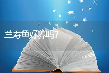 兰寿鱼好养吗？