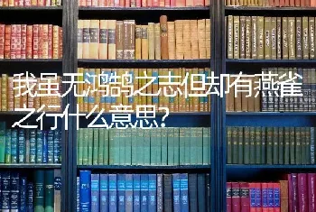 我虽无鸿鹄之志但却有燕雀之行什么意思？