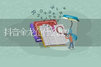 抖音金龙鱼什么梗？