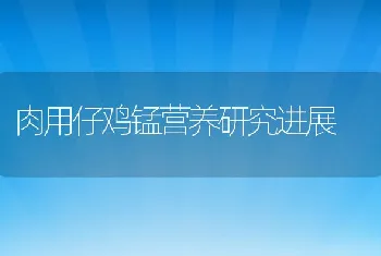 肉用仔鸡锰营养研究进展