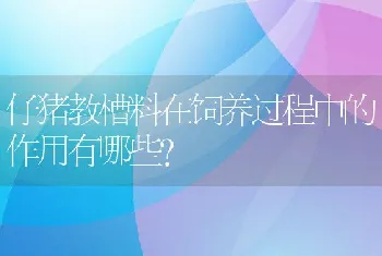 仔猪教槽料在饲养过程中的作用有哪些？