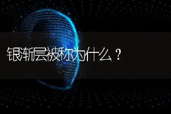 什么狗和阿拉斯加犬串后比较凶？