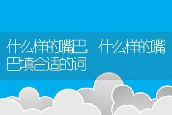 什么样的嘴巴，什么样的嘴巴填合适的词