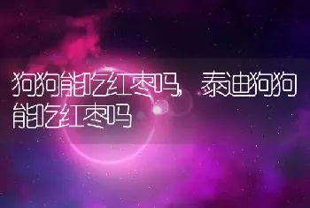 狗狗能吃红枣吗，泰迪狗狗能吃红枣吗