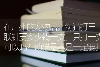 在广州的宠物店，幼猫打三联针要多少钱一支，只打一支可以吗?幼猫是不是一定要打狂犬疫苗？