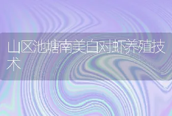 山区池塘南美白对虾养殖技术