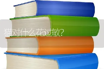 边牧幼犬的胎毛是黄色的吗，我家边牧白色那一块有点黄，听别人说是胎毛，但又担心它不纯？