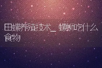 田螺养殖技术_螺蛳吃什么食物