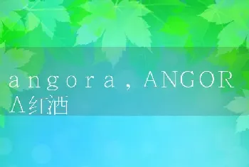 angora，ANGORA红酒