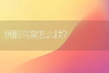 绣眼鸟窝怎么找？