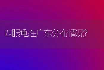 四眼龟在广东分布情况？