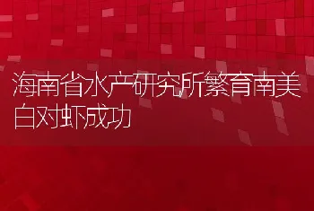 海南省水产研究所繁育南美白对虾成功