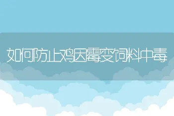 如何防止鸡因霉变饲料中毒