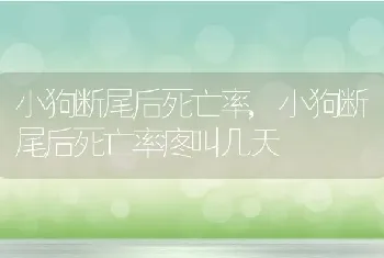 小狗断尾后死亡率，小狗断尾后死亡率疼叫几天