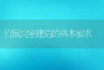 竹鼠窝室建造的基本要求