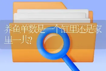 养鱼单数是一个缸里还是家里一共？