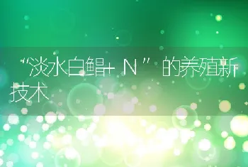 淡水白鲳+N的养殖新技术