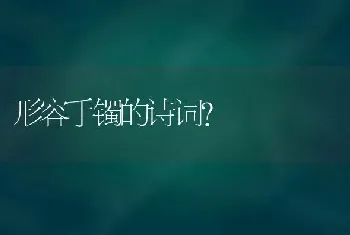 形容手镯的诗词？