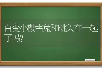 蓝猫与银渐层能生出哪些猫？