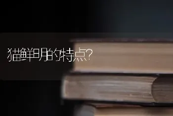 我家小边牧为什么眼睛蓝色的？求大神？