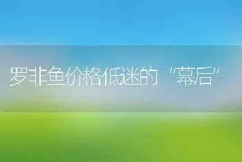 罗非鱼价格低迷的“幕后”