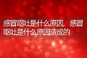 感冒呕吐是什么原因，感冒呕吐是什么原因造成的