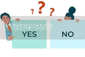 吉娃娃狗的特点？