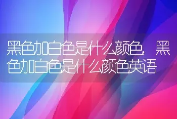 黑色加白色是什么颜色，黑色加白色是什么颜色英语