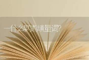 一什么鹦鹉填量词？