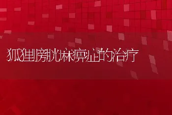 狐狸膀胱麻痹症的治疗