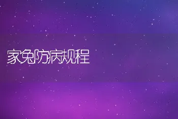 家兔防病规程