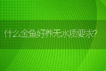 什么金鱼好养无水质要求？