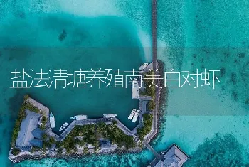 盐法清塘养殖南美白对虾