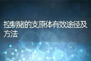 控制猪的支原体有效途径及方法