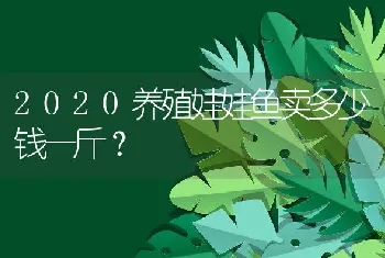 2020养殖娃娃鱼卖多少钱一斤？