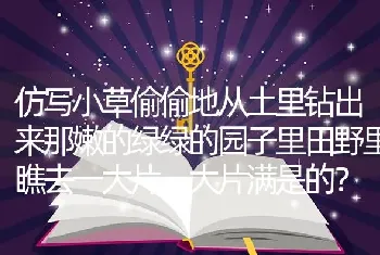 仿写小草偷偷地从土里钻出来那嫩的绿绿的园子里田野里瞧去一大片一大片满是的？