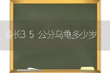 身长35公分乌龟多少岁