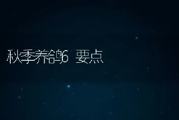 秋季养鸽6要点