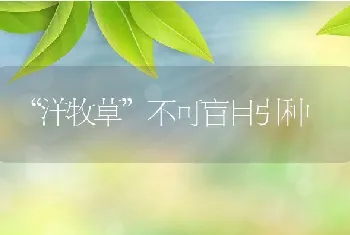 洋牧草不可盲目引种