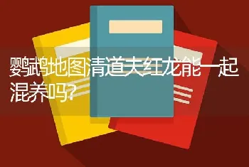 鹦鹉地图清道夫红龙能一起混养吗？