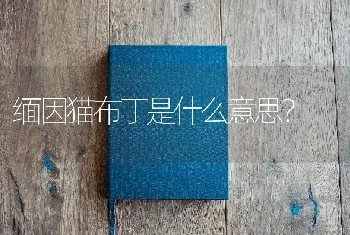 狗狗不吃不喝呕吐拉稀嗜睡怎么办？