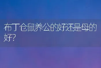 两个月的金毛夜里上厕所吗？