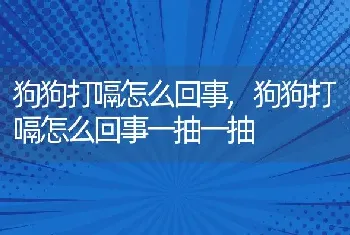 狗狗打嗝怎么回事，狗狗打嗝怎么回事一抽一抽