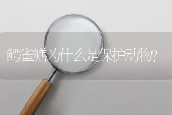 鳄雀鳝为什么是保护动物？