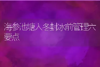 海参池塘入冬封冰前管理六要点