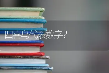 四喜鸟代表数字？