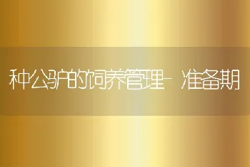 规模化养猪场疫病防治新理念