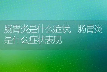 肠胃炎是什么症状，肠胃炎是什么症状表现