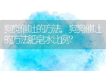 狗狗催吐的方法，狗狗催吐的方法肥皂水比例？